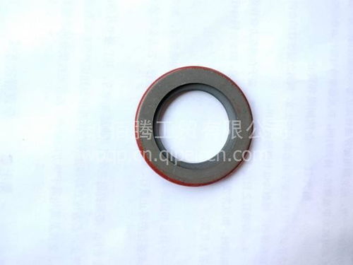 進口油封水泵油封3003353 價格、圖片與配件廠家全解析